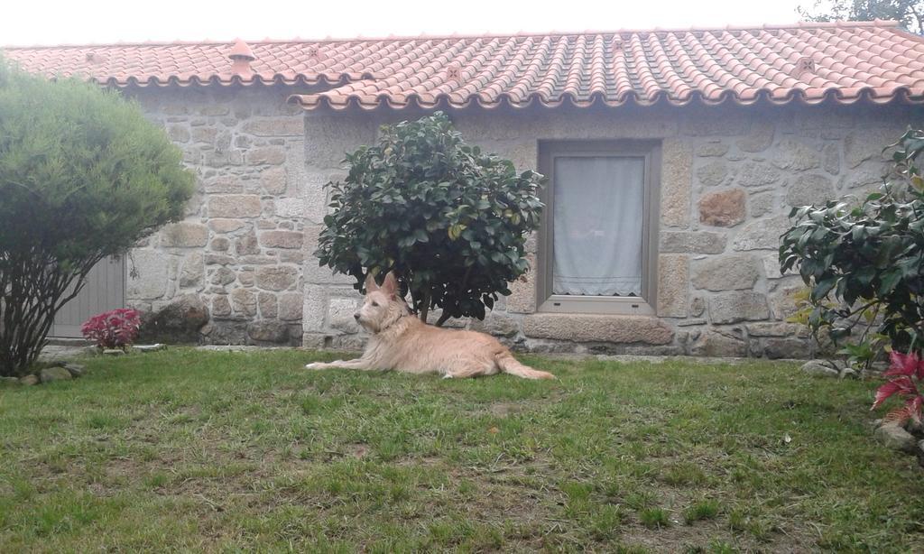 Casa Maria Da Assuncao Villa Vila Nova de Cerveira Bilik gambar
